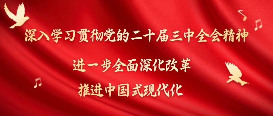 成人短视频